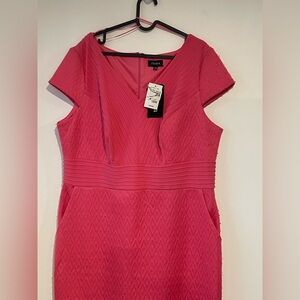 Chaya Pink Short Sleeve Dress NWT